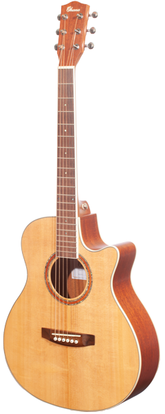 Guitar Line GT-3C Solid Top Guitar