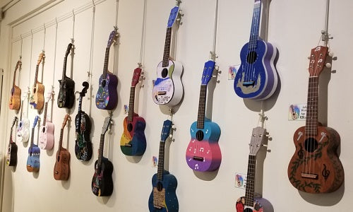 How Schools And More Utilize Ohana DIY Kits