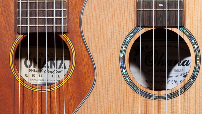 Which Solid Top Tonewood Is Right For You?