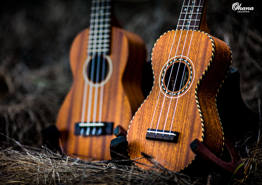 Ukulele Basics