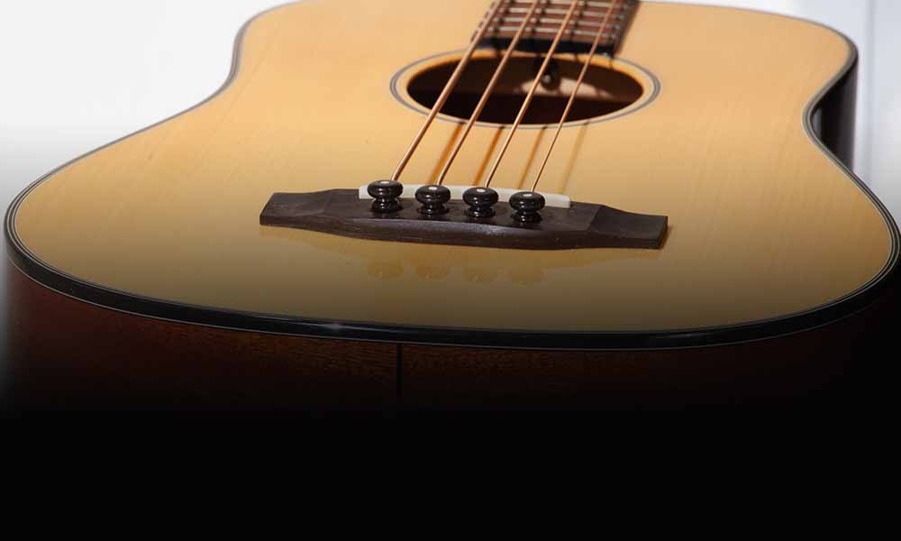 Micro Bass Giveaway with Cal Heights Music