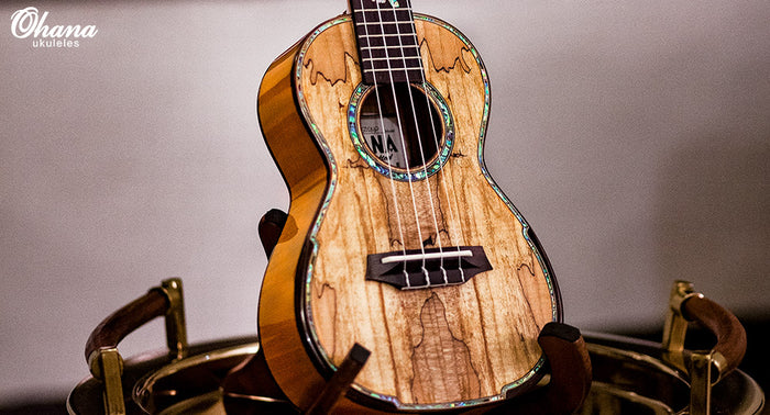Unique Limited Edition Concert Ukulele: CK-450SMP