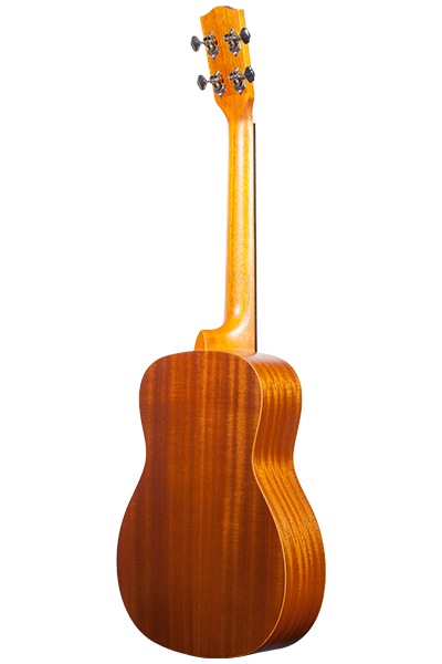 BK‑10 back view highlighting body and finish