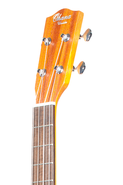 Close-up of BK‑10 headstock and tuners