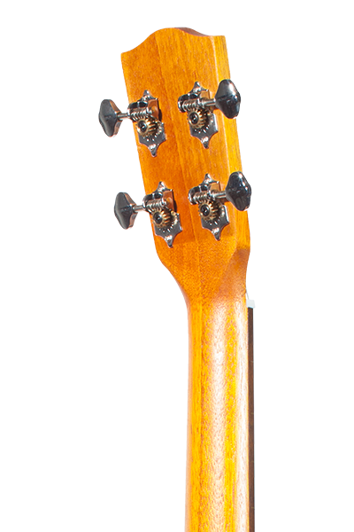 Rear headstock detail of BK‑10 tuners
