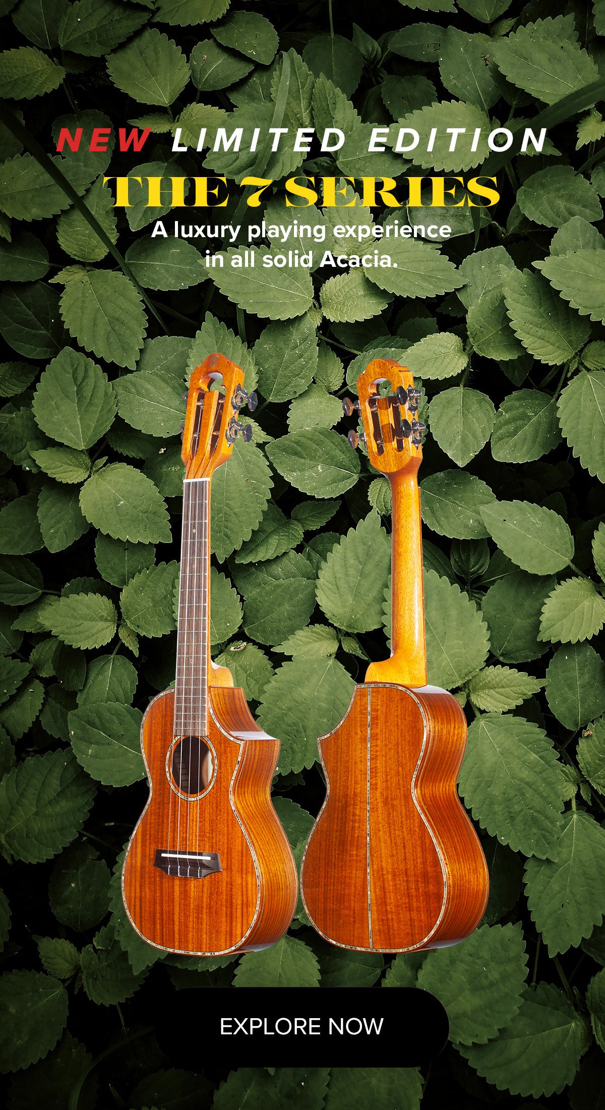 Best deals ukulele tenor