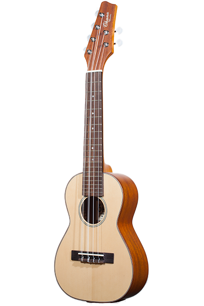 "More than Four" 6-String Series