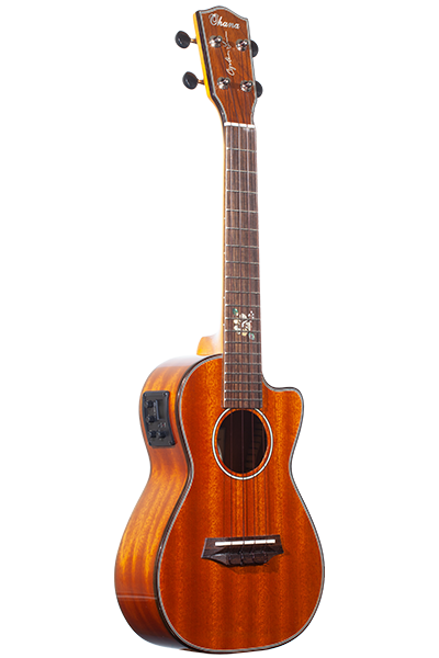 Cynthia Lin Series All-Solid Mahogany Acoustic-Electric CK-35CGE-CL