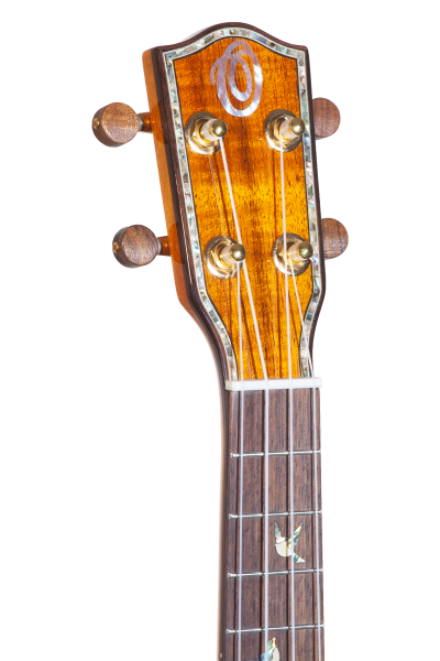 Limited Edition CK-570G All-Solid Select Koa Concert