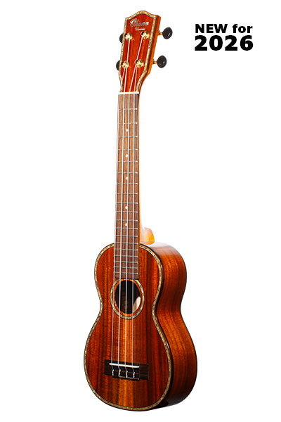 Front view of SK‑270M showing extended neck and solid acacia body in gloss finish
