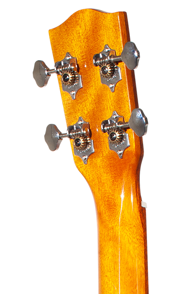 All Solid 50G Series