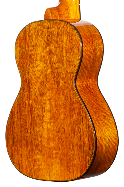Limited Edition 220G Series