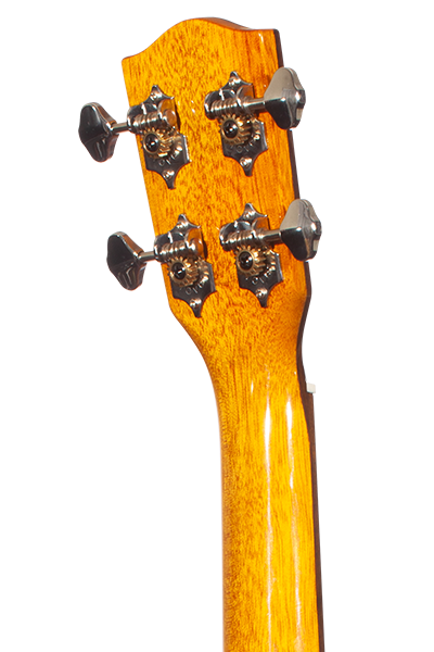 Limited Edition 220G Series