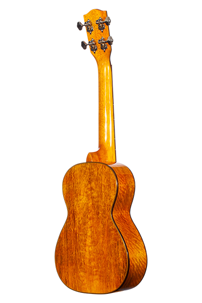 Limited Edition 220G Series