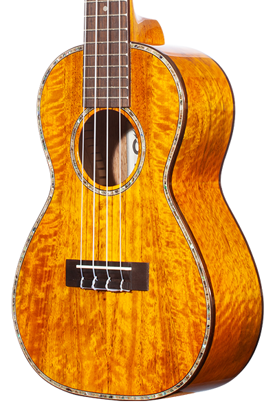 Limited Edition 220G Series