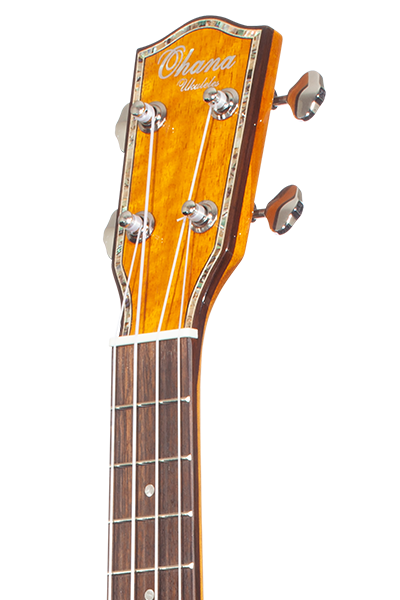 Limited Edition 220G Series