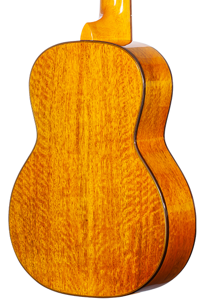 Limited Edition 220G Series
