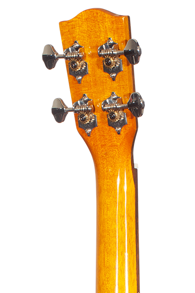Limited Edition 220G Series