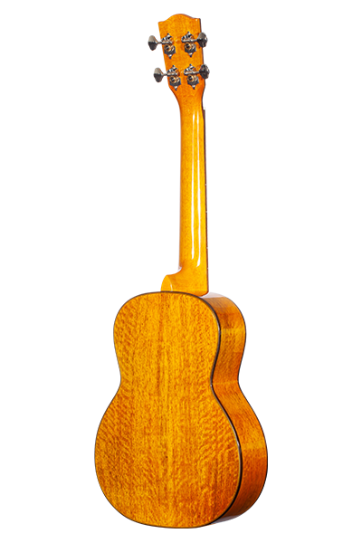 Limited Edition 220G Series