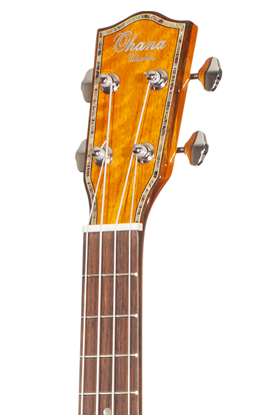 Limited Edition 220G Series
