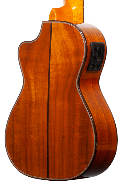 Limited Edition 250G Series