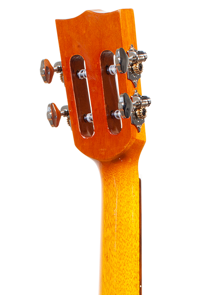 Limited Edition 250G Series