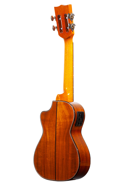 Limited Edition 250G Series