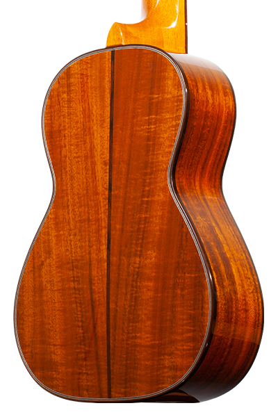 Limited Edition 250G Series