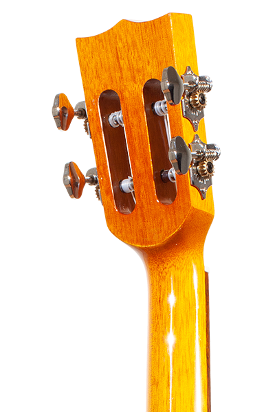 Limited Edition 250G Series