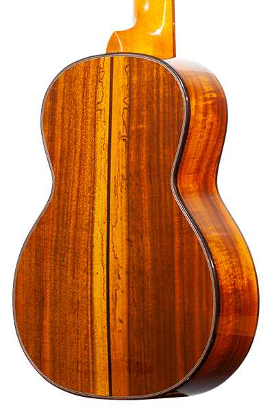 Limited Edition 250G Series