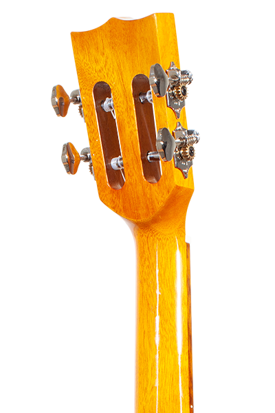 Limited Edition 250G Series