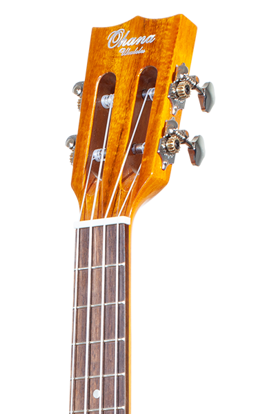 Limited Edition 250G Series