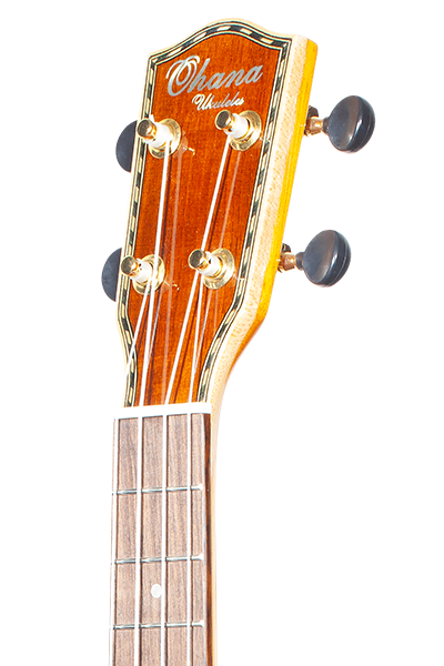 Limited Edition 40 Series