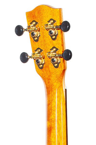 Limited Edition 40 Series