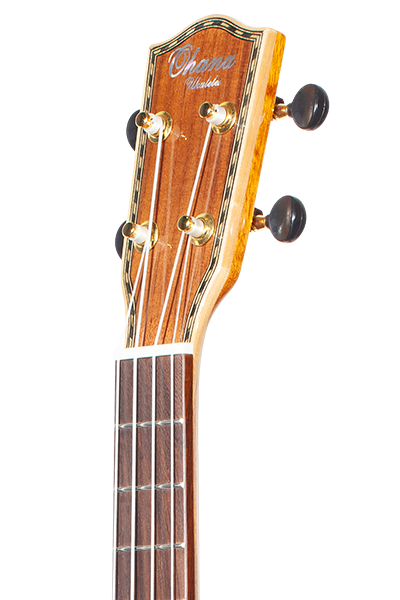 Limited Edition 40 Series