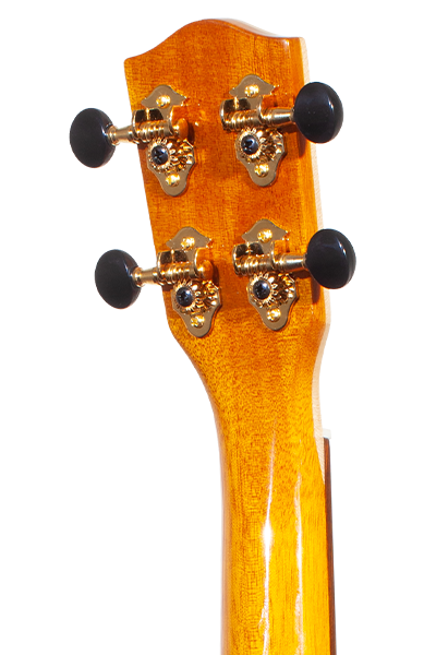 Limited Edition 42 Series