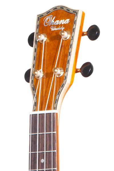 Limited Edition 42 Series