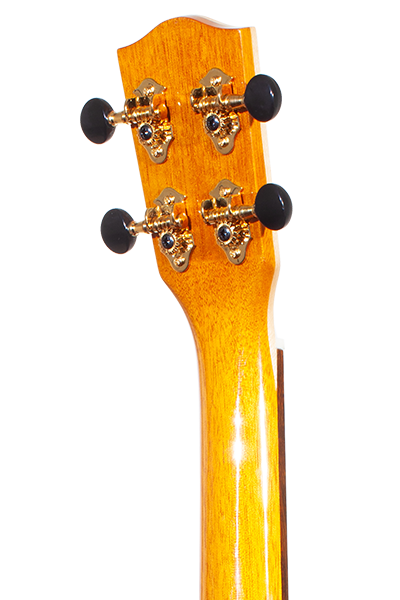 Limited Edition 42 Series