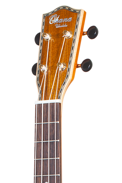 Limited Edition 42 Series