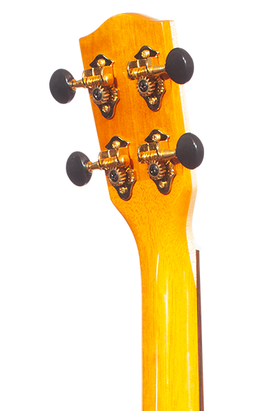 Limited Edition 43 Series