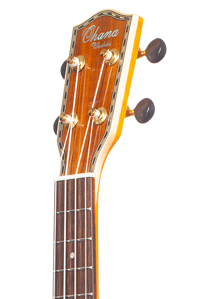 Limited Edition 43 Series