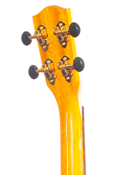 Limited Edition 43 Series