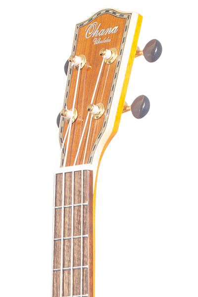 Limited Edition 43 Series