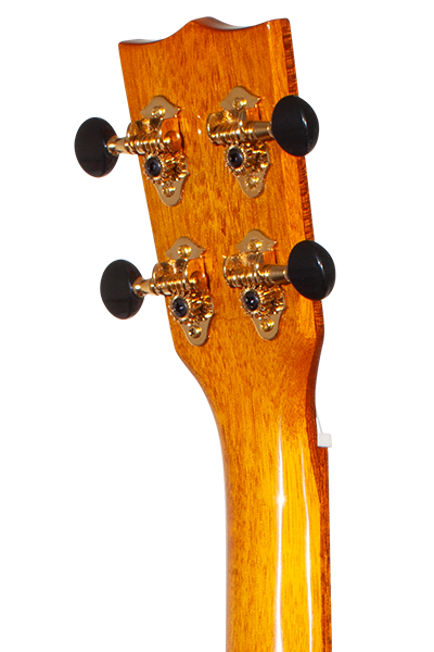 Limited Edition TK-70KCE Solid Spruce & Koa with EQ Tenor