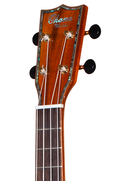 Limited Edition TK-70KC Solid Spruce & Koa Tenor