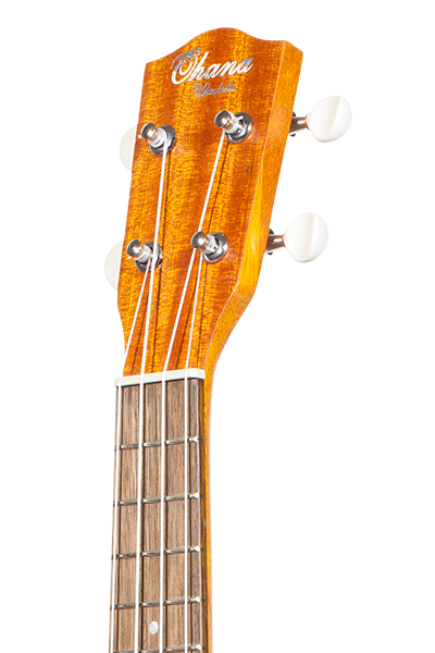 Pineapples 10 Series