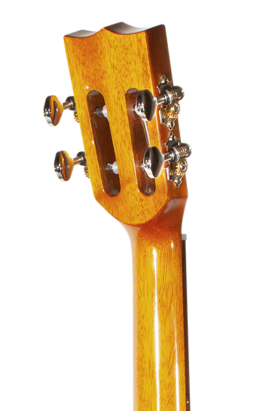 Limited Edition 250G Series