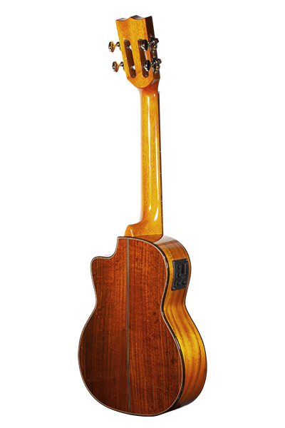 Limited Edition 250G Series