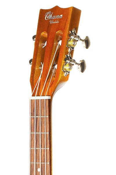 Limited Edition 250G Series