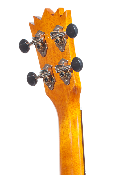 Pineapples 25G Series